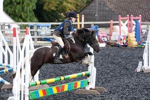 Class 3 -  Fences not above 2'3